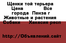 Щенки той терьера › Цена ­ 10 000 - Все города, Пенза г. Животные и растения » Собаки   . Хакасия респ.